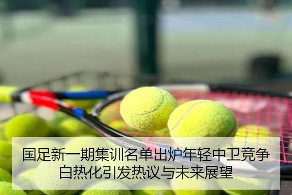 国足新一期集训名单出炉年轻中卫竞争白热化引发热议与未来展望